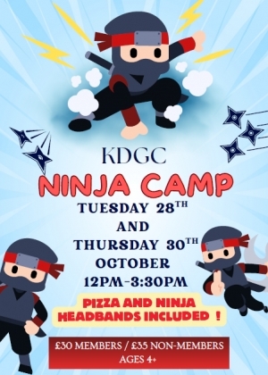 Ninja Camp Poster