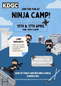 Ninja Camp Poster
